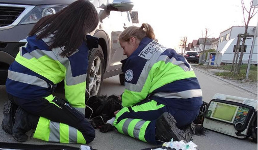 Pferde-Ambulanz / Tier-Notfallrettung